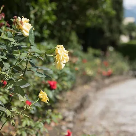 Appartamento Morosini - Free Parking Bellagio